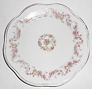 Zeh Scherzer China Z.s. & Co. Porcelain Floral W/gold 8