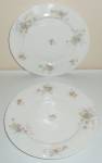 Theodore Haviland China Pr Floral Decorated Plates!
