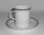 Rosenthal Porcelain China Evensong Cup & Saucer Set