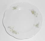 Rosenthal Porcelain China Classic Rose Catherine Bread 