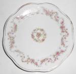 Zeh Scherzer China Z.S. & Co. Porcelain Floral w/Gold 8