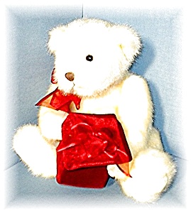 White Gund Teddy With Red Velveteen Gift Bx