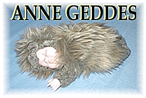 Anne Geddes Baby Hedgehog Doll