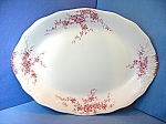 Transfer Ware Platter England JHW & Sons