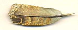 Vintage Wooden Hand Carved Feather Pin