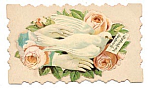 Vintage Calling Card Lady's Hand, Light Pink Roses
