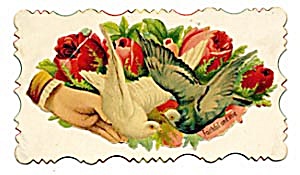 Vintage Calling Card 2 Pigeons, Large Pinky Red Roses