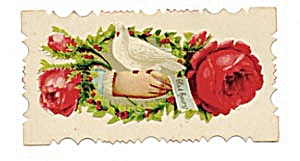 Vintage Calling Card Dove Sitting On Hand