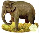 Antique Reproduction Elephant Rocker Card