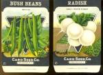 Vintage Vegetable Seed Packets Radish & Bush Beans