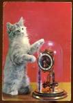 Vintage Squeaker Postcard: Kitten & Anniversary Clock