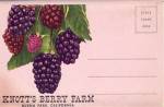 Fold Out Souviner Postcard Booklet Knott's Berry Farm