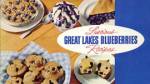 Luscious Great Lakes Blueberries Recipes