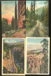 Vintage Yellowstone National Park Postcards