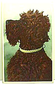 Vintage Mainzer Poodle? Dog Postcard
