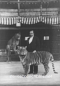 C.1893 Hagenbecks Trained Animals Tigers Circus - Photo