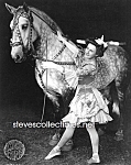 c.1908 CIRCUS GIRL Costumed With Horse - Photo