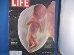 Life Magazine April 30, 1965