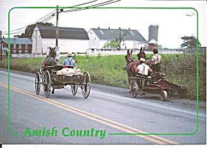 Pannslyvania Amish Buggies Farmers Cs11704
