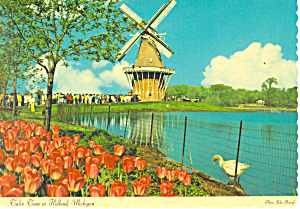 Tulip Time At Holland Mi Postcard Cs1216