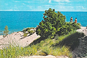 Lake Michigan Sand Duns Along The Shores Postcard Cs12559