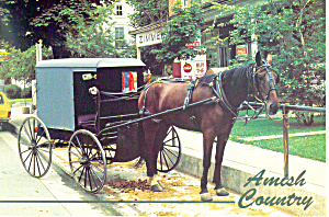 Amish Horse And Buggy Intercourse,pa, Postcard Cs2185