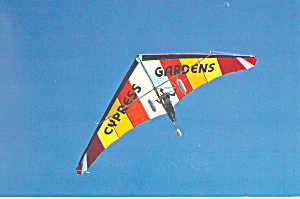 Delta Wing Kite Cypress Gardens Florida Cs2634