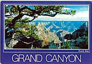 North Rim, Grand Canyon National Park Arizona Cs5143