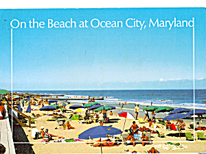 Beach And Boardwalk Ocean City Maryland Cs5203