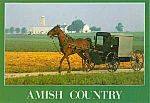 Amish Farm And Horse And Buggy Cs7145