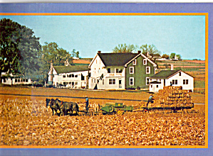 Amish Farmers Harvest Of Corn Fodder Cs7146