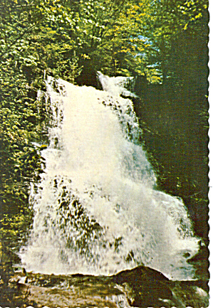 Waterfall Along Turkey Path Harrison State Park Pa Cs7487