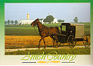 Amish Farm Scene With Horse And Buggy Cs8081