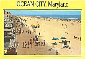 Ocean City Maryland Beach Scene Cs8550