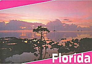 Florida Pink Sky Over Waterway Cs8751