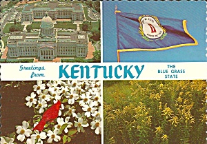 Kentucky State Flag, Bird Flowers And Capitol Cs9199