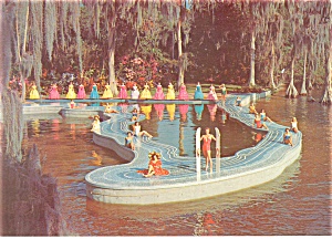 Cypress Gardens Fl Esther Williams Pool Postcard Lp0113