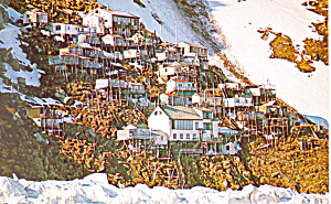 Eskimo Village Ukivok Alaska,postcard N1022