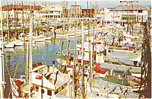 Fishing Fleet San Francisco Ca Postcard P0800