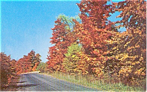 Autumn Road Scene Morrisville Pa Postcard P1028