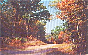 Lovely Autumn Road Scene Postcard P1032