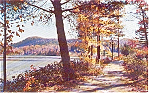Autumn Woodlands And Lake Scene Postcard P1039