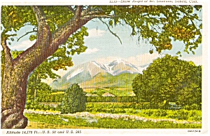 Snow Angel Mt Shavano Co Postcard P1126
