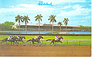 Thrilling Race At Hialeah Race Track Postcard P12897