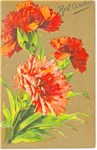 Chrysanthemums Best Wishes Vintage Postcard P13154