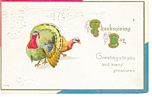 Thanksgiving Postcard Turkeys 1915 P13261