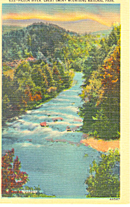 Pigeon River Great Smoky Mountains National Park Postcard P13868