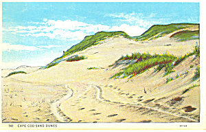 Sand Dunes Cape Cod Ma Postcard P15225
