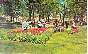 Tulip Time In Holland Mi Postcard P15375
