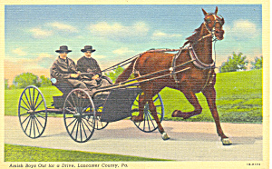 Amish Boys In Buggy, Lancaster County, Pa Postcard P16833